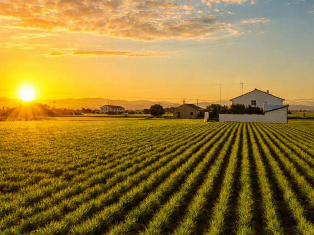 ¿Buscas Alquiler en l'Horta Nord? Así Estará el Mercado en 2026